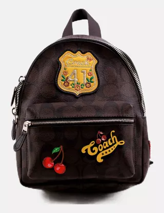 17 laptop backpack superior Skyway Rainier Deluxe Backpack main image 1