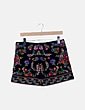 Saia mini Zara