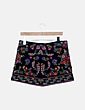 Saia mini Zara